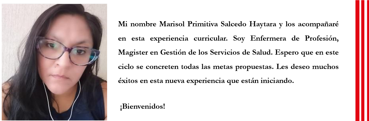 Ficha de presentación de la docente encargada del curso, la Mg. Marisol Primitiva Salcedo Haytara